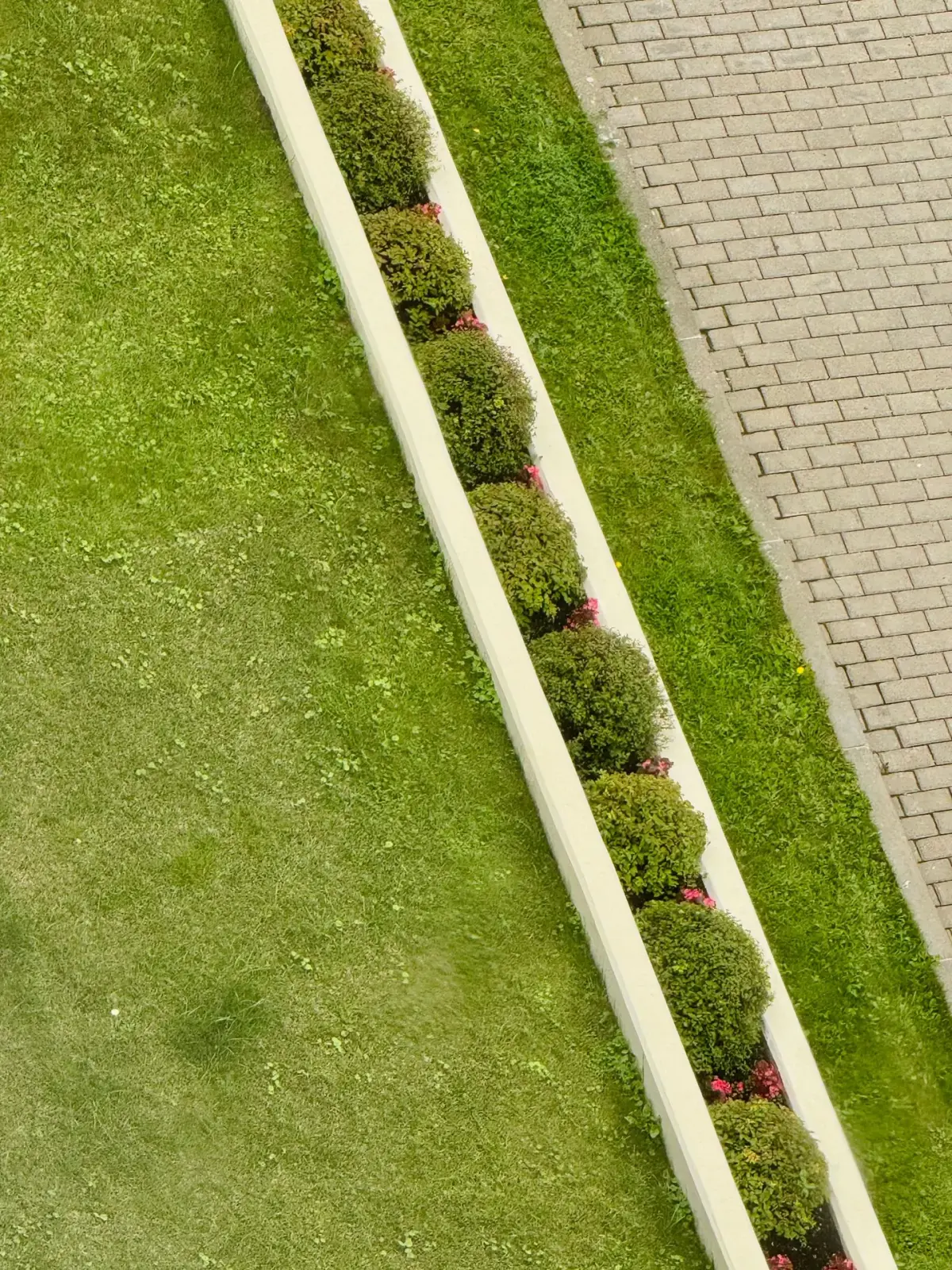 Garten mit geometrisch angeordneten Beeten und Wegen